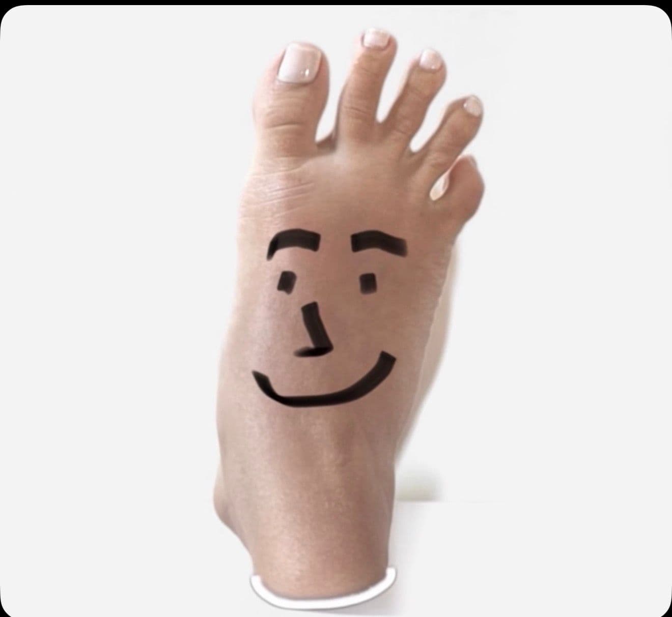 Toe Biden, una pata sonriente y consejera amiga.